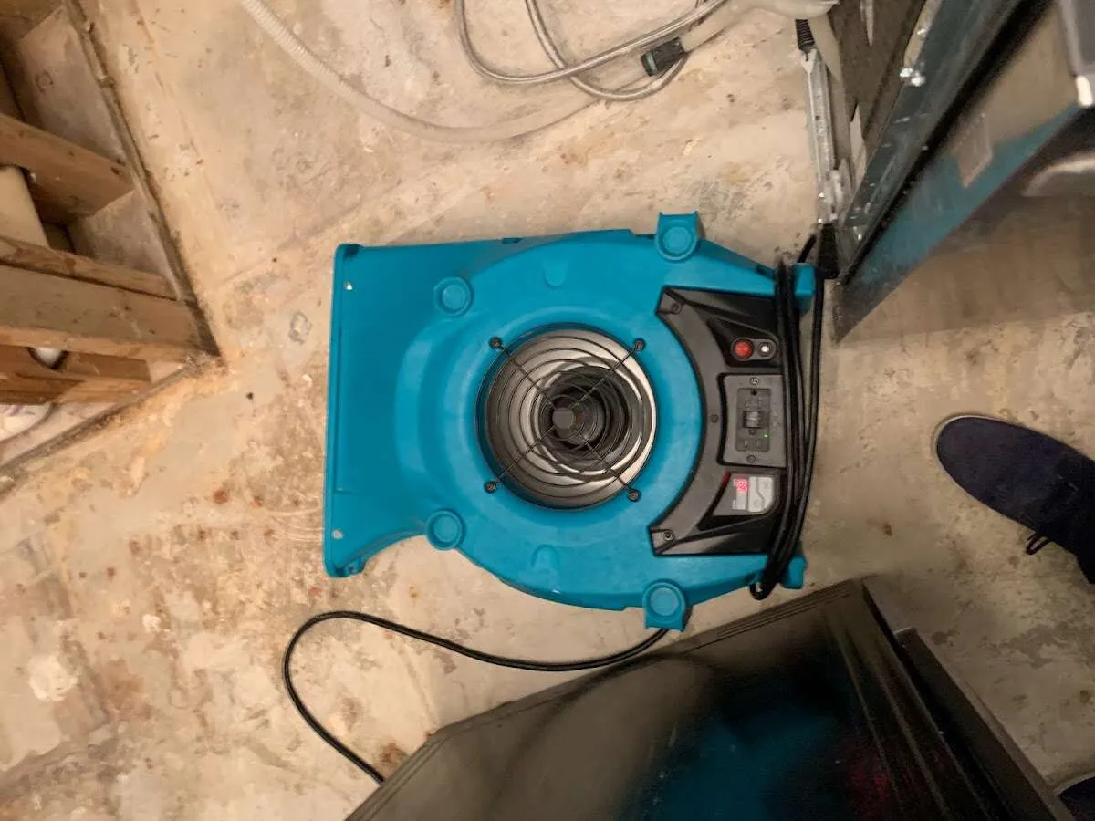 Air mover drying equipment for Mold Remediation & Removal in Eustis