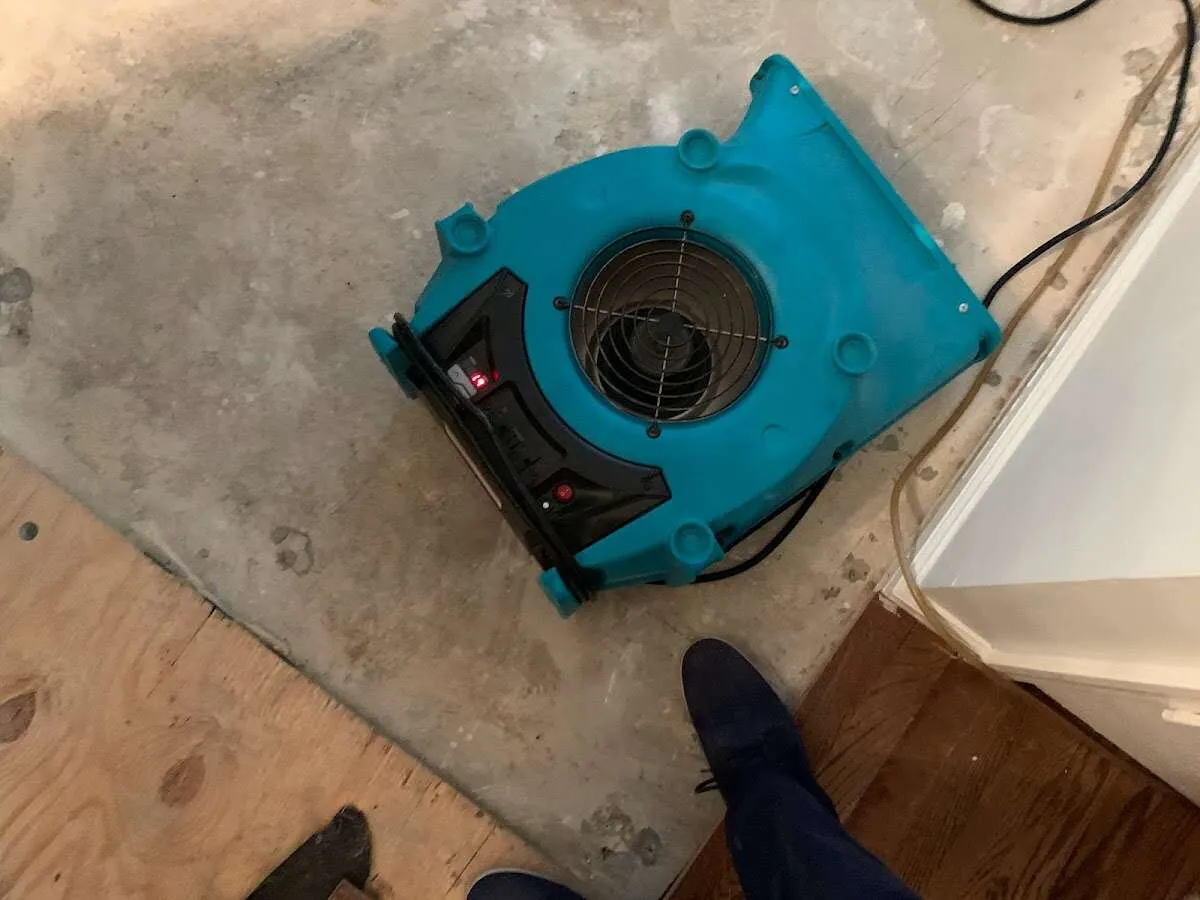Air mover drying subfloor during Commercial Water Damage Restoration in Eustis